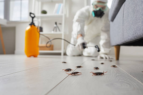 Trusted Termite Control service in McSherrystown, PA - Nex Pest Control