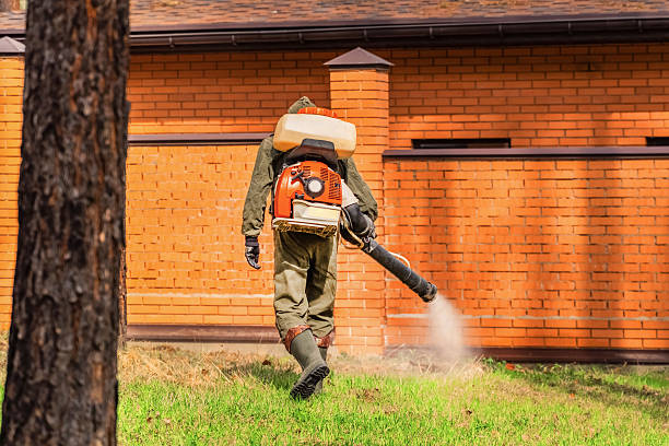 Trusted Cockroach Control service in McSherrystown, PA - Nex Pest Control